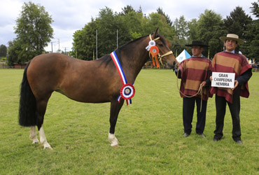 Imagen foto_00000002