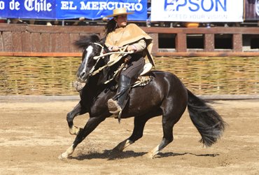 Imagen foto_00000001