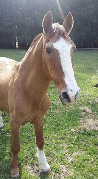 Imagen foto_00000001