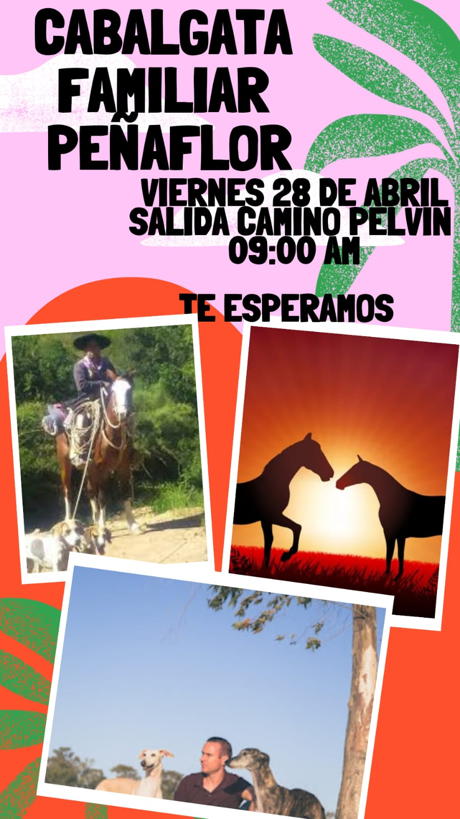 Imagen foto_00000002