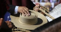 Ferochi: Instructivo para inscripción y participación en Rodeos Para Criadores modalidad limitados a 25 colleras