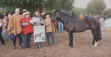 Con premios incluidos: El positivo balance que dejó la Cabalgata de Criadores de Melipilla y Casablanca