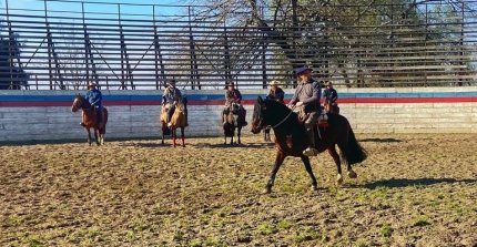 Asociación de Criadores de Linares también realizó Clínica de Rienda