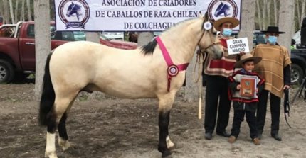 Rinconada del Tambo acoge Expo Promocional este sábado