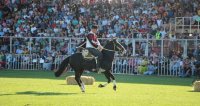 Alfredo Moreno en El Tipógrafo: Chile está de cumpleaños