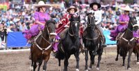 Intercambio Cultural de Amazonas: Mujeres unidas por el Caballo