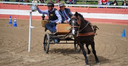 Cuida el Agua, creando conciencia a través del Caballo