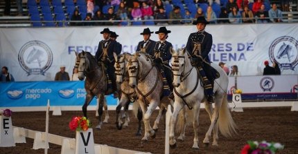 Escuela del Arte Ecuestre de Chile: Caballos Andaluces deslumbraron