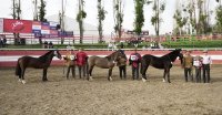 Los Grandes Premios de la Expo Semana de la Chilenidad 2024