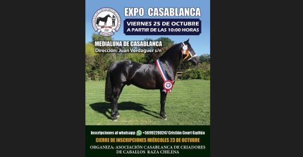 Criadores de Casablanca reciben inscripciones para su Exposición abierta