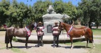 Expo Curicó se prepara para comenzar a recibir las inscripciones