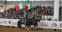 Una mirada a la Fieracavalli 2024 bajo la cámara de CaballoyRodeo