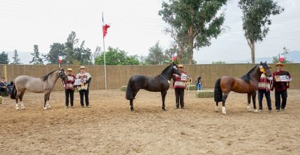 Los Grandes Premios de la Expo Quillota 2024