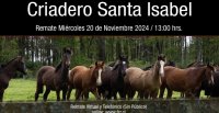 Criadero Santa Isabel sale a remate con destacados ejemplares