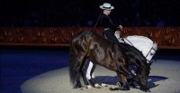 Delegación chilena asistió a la Gala del Salón del Caballo Español