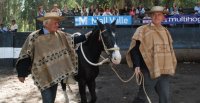 Club De Angostura tuvo emotivo rodeo en la Medialuna de Casa Silva