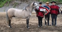 Los premiados por categoría de la Expo Cabrero 2024