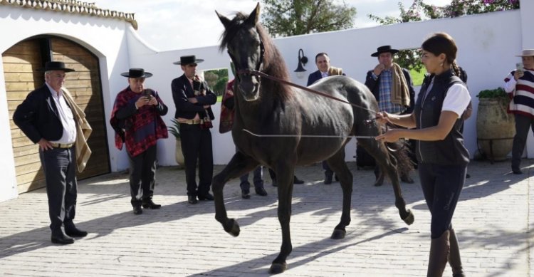 Criadores visitaron finca de adiestradora Lea Vicens y asistieron a desfile de moda ecuestre