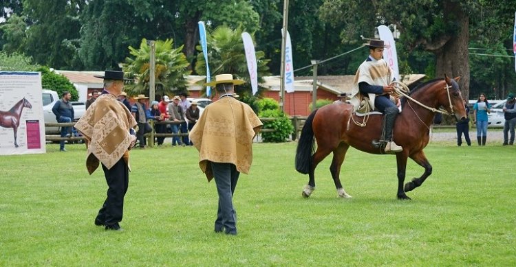 Un repaso en imágenes de la SOFO 2024