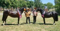 Mucha Pena y Diligencia fueron los ejemplares más destacados en la Expo Curicó