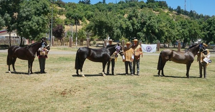 Los Grandes Premios de la Expo Curicó 2024