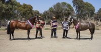 Criadores de Petorca están listos para su exposición dentro de un gran programa en Catapilco