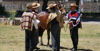 Comisión Exposiciones y sus jurados tuvieron provechosa charla sobre condición corporal en equinos