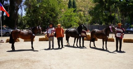 Los Grandes Premios de la Expo Melipilla 2024