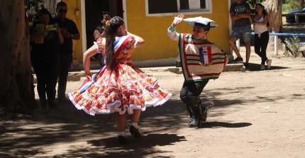 Criadores de Maipo compartieron y disfrutaron la belleza del Caballo Chileno