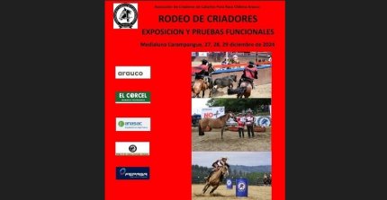 Criadores de Arauco se instalan en Carampangue con un gran programa de actividades