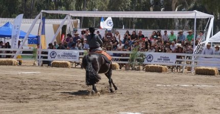 Andrea Castagnoli: Este año tuvimos mucho interés de las Escuadras para estar en la Final