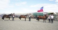 Los Grandes Premios de la Expo Torres del Paine 2025