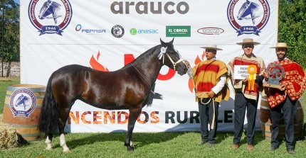 Gabriel Morales: La Purísima es campeona nacional por tercera vez consecutiva, un logro tremendo