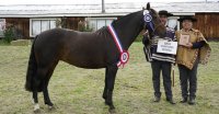 Crianza entre amigos: Las lindas historias de los ganadores de la Expo Coyhaique