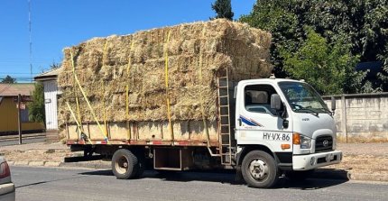 "Los Huasos Corren por Chile" acudió en ayuda de afectados por incendios en Purén