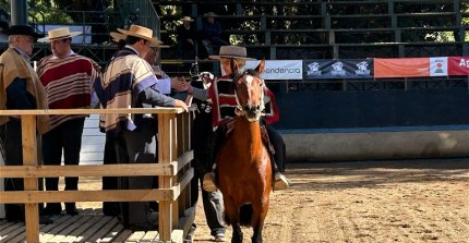 En CaballoyRodeo en Vivo hicimos la previa del Clasificatorio de San Clemente