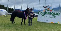 Exitoso taller sobre el Caballo Chileno engalanó la Expo Patagonia 2025