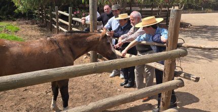 Johanna Lahnsteiner comenzó gira en el Criadero Alhambra: Me gusta la fuerza y el espíritu del caballo chileno