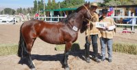 Los premiados por categoría de la Expo Copiapó 2025
