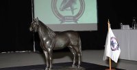 Puerto Natales recibe a los Criadores para un trascendental Consejo Superior