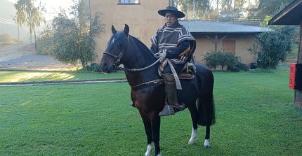 Carlos Ugalde y su meta en Los Arrayanes de Olmué: "Llegar lo más arriba que se pueda"