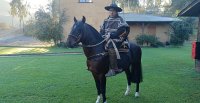 Carlos Ugalde y su meta en Los Arrayanes de Olmué: "Llegar lo más arriba que se pueda"