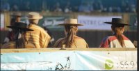 ¡Ultimas horas! Agrupación Femenina de Rodeo Chileno cierra su Remate de Montas