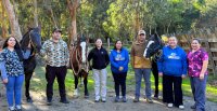Club Lebu y agrupación Red TEApoyo iniciaron proyecto de equinoterapia