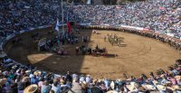 Medialuna Monumental "Gonzalo Vial Vial" abre sus puertas en el Día de los Patrimonios
