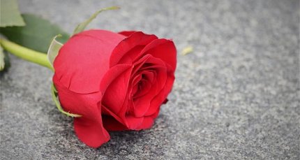 Pésame por el fallecimiento de Antonia Zunino Muratori
