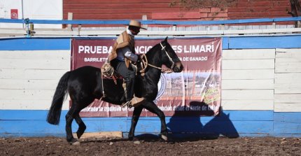 En Ovalle el 21 de mayo se vivió con Pruebas Funcionales