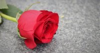 Condolencias para Rodrigo Muñoz Bórquez y su familia