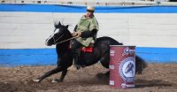 Criadores de Limarí preparan su segunda fecha de Pruebas Funcionales