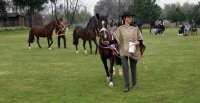 Criadores de Colchagua planificaron el segundo semestre con interesantes actividades